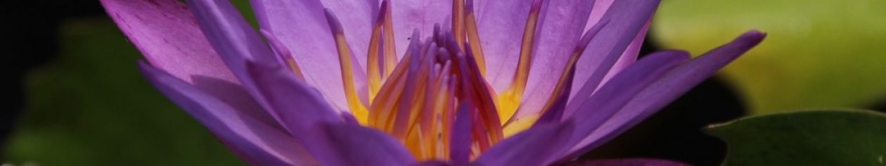 Medical Fitness Aachen